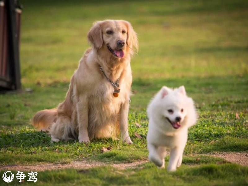 北京户外养生:融合自然的城市逃离计划