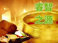 睿智之源头部SPA