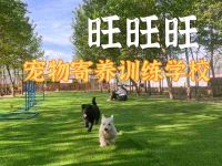 旺旺旺宠物寄养训练学校(顺义店)