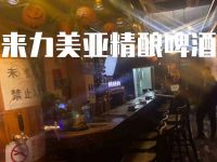 来力美亚精酿啤酒