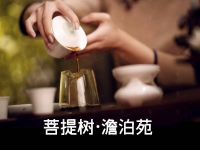 菩提树·澹泊苑·素食 