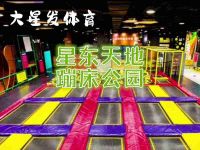 大星发体育星东天地蹦床公园