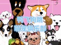 鸭飞狗跳·萌宠俱乐部(大族广场店)