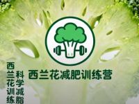 西兰花减肥训练营