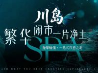 川岛·轻奢·SPA养生会所 