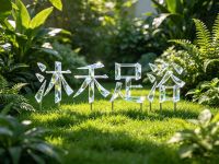 沐禾足浴默认相册